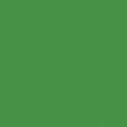 ECO SLD 018 LEAF GREEN