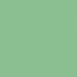 ECO SLD 019 MINT