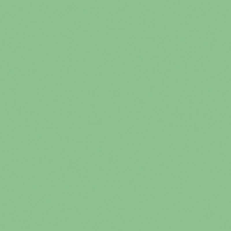ECO SLD 019 MINT