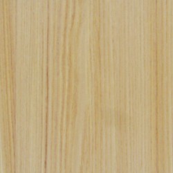 ECO P 045 YEZO ELM