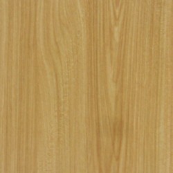ECO P 046 SIENNA KATSURA
