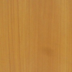 ECO P 051 GOLD SYCAMORE