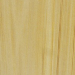 ECO P 058 FRASER FIR