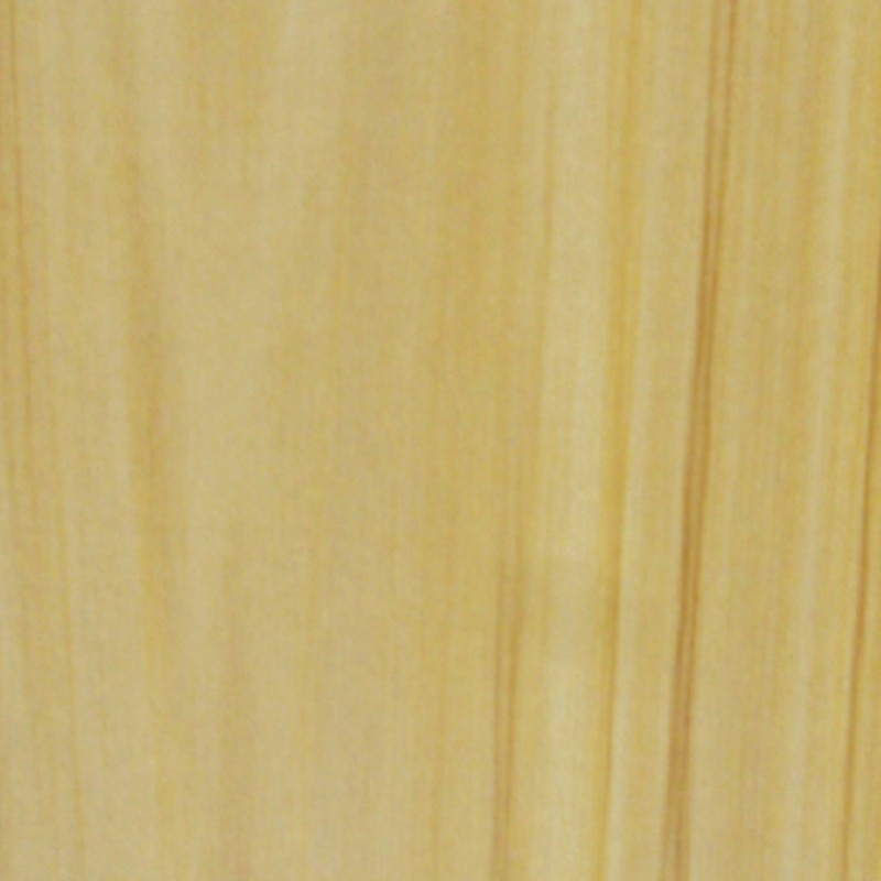 ECO P 058 FRASER FIR