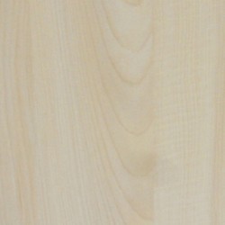 ECO P 062 QUILT MAPLE
