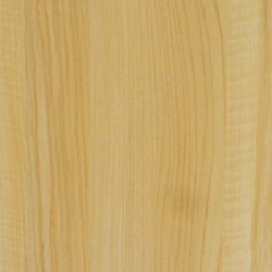 ECO P 063 SUGAR MAPLE