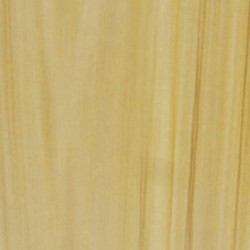 ECO P 058 RL FRASER FIR REAL NUMBER