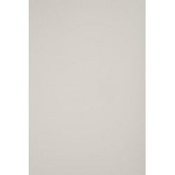 TH 009 D - Mocassin Ivory Dove