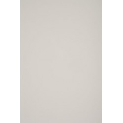 TH 009 G - Mocassin Ivory Gloss