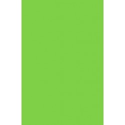 TH 011 AA - Spring Green