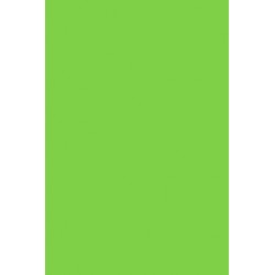 TH 011 G - Spring Green Glossy