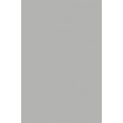 TH 014 D - Light Grey Dove