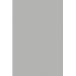 TH 014 G - Light Grey Gloss