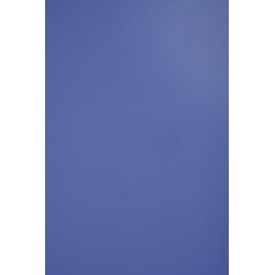TH 015 D - Amazon Blue Dove