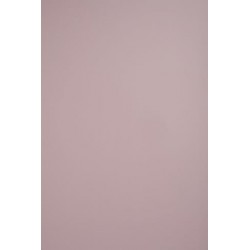 TH 017 D - Almond Pink Dove