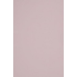 TH 017 G - Almond Pink Gloss