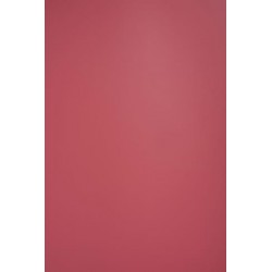 TH 018 D - Bright Pink Dove