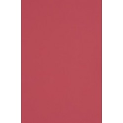TH 018 G - Bright Pink Gloss