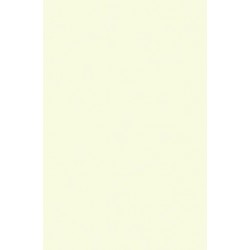 TH 019 G - Egg White Gloss