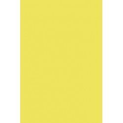 TH 021 AA - Canary Yellow