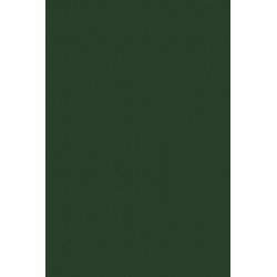TH 025 AA - Dark Green