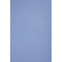 TH 026 D - Baby Blues Dove