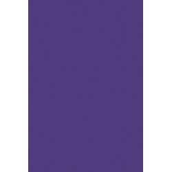 TH 027 AA - Purple