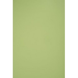 TH 038 D - Lime Green Dove