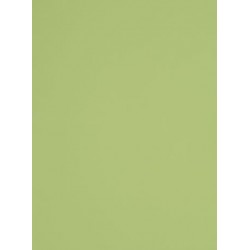 TH 038 G - Lime Green Gloss