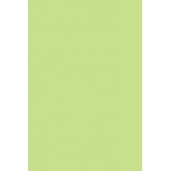 TH 039 AA - Light Green