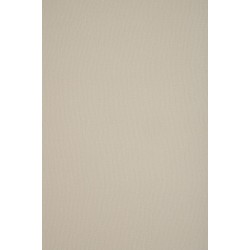TH 1235 FA - Cream Brixter