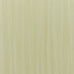 ECO 001 Snow Maple