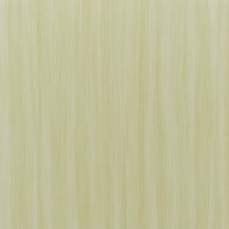 ECO 001 Snow Maple