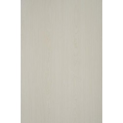TH 100 AA - Winter Maple