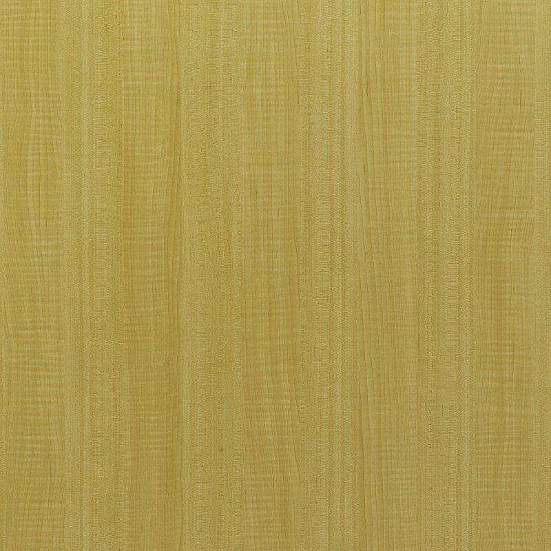 ECO 006 SWISS SYCAMORE