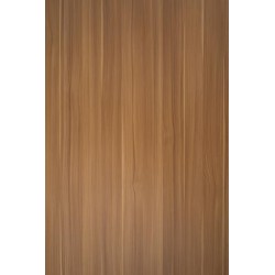 TH 119 AA - Slim Echo