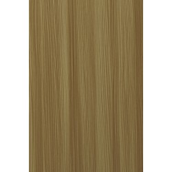 TH 122 AA - Express Larch