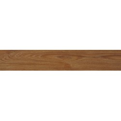 TV-004 PARMA OAK