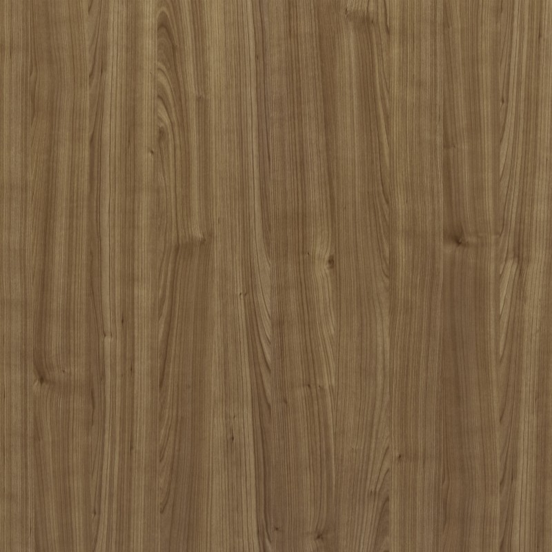 ECO 012 PRUNE CHERRY