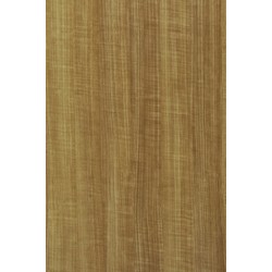 TH 845 J - Creme Deluxe