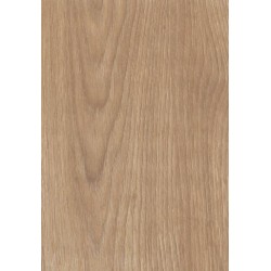 TH 889 FC - French Tan Oak