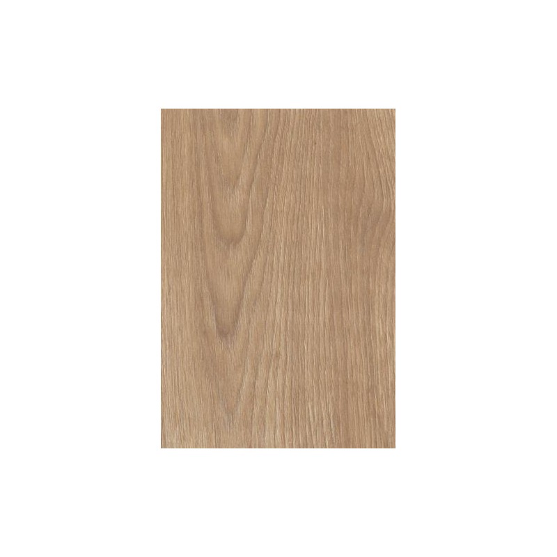 TH 889 FC - French Tan Oak
